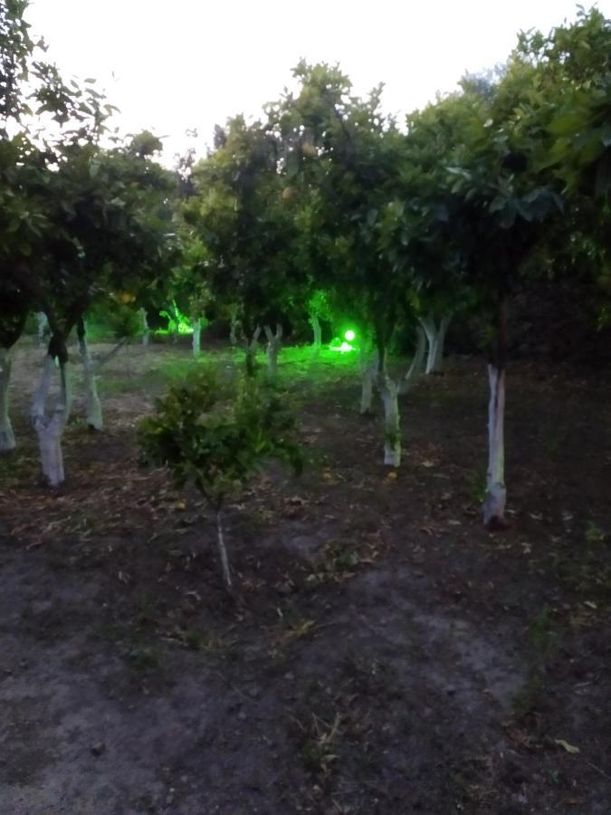Volissos Περιβόλι Του Οδυσσέαヴィラ エクステリア 写真